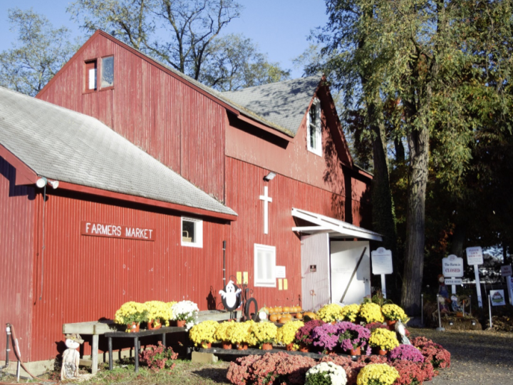 Students at the farm