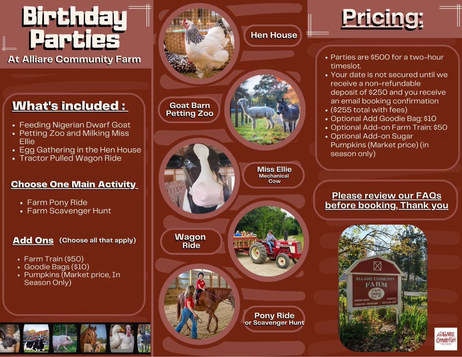 Birthday Party Brochure