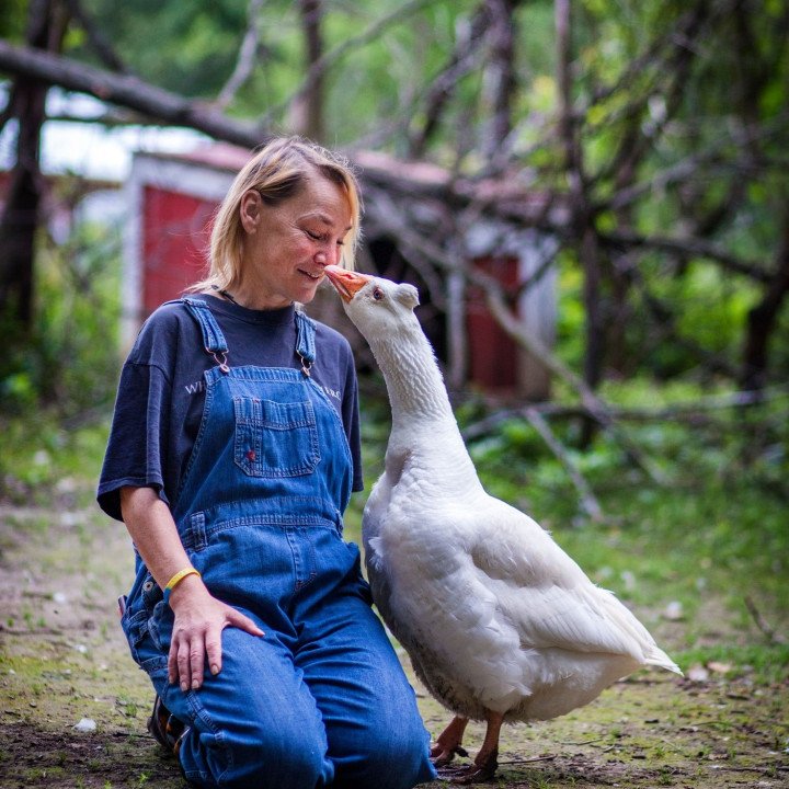 Healing through Animals, Visual Expression, and Nature