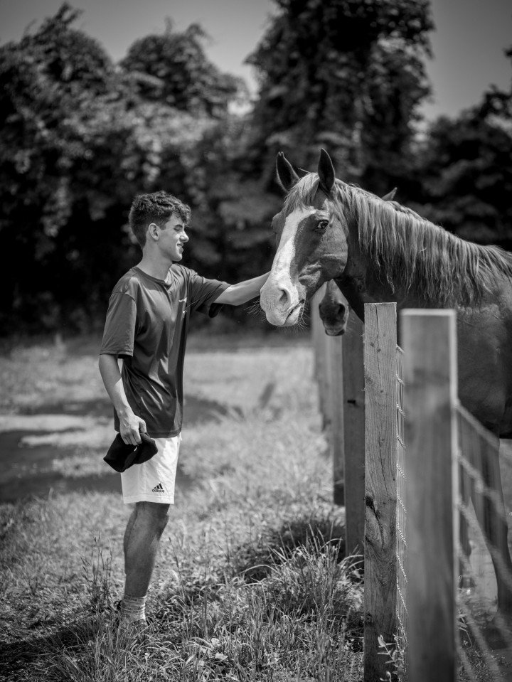 Horseback Riding Lessons