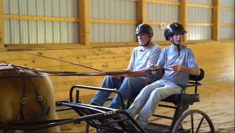 Veteran carriage driving program