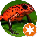 Courtney Liszcz profile picture