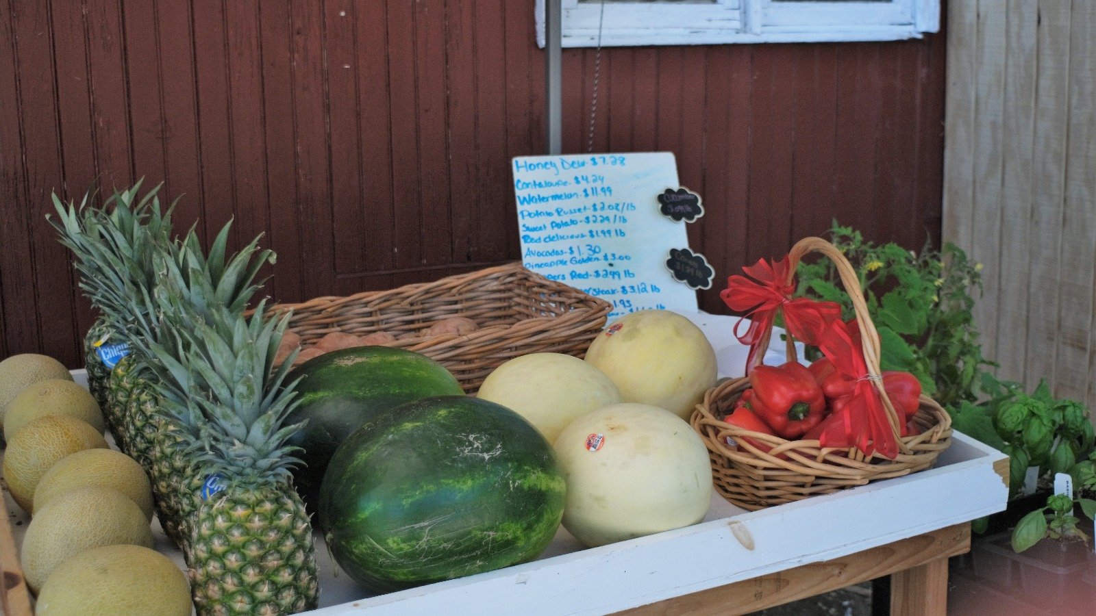 Fresh vegetables in a basket at Allaire Community Farm market