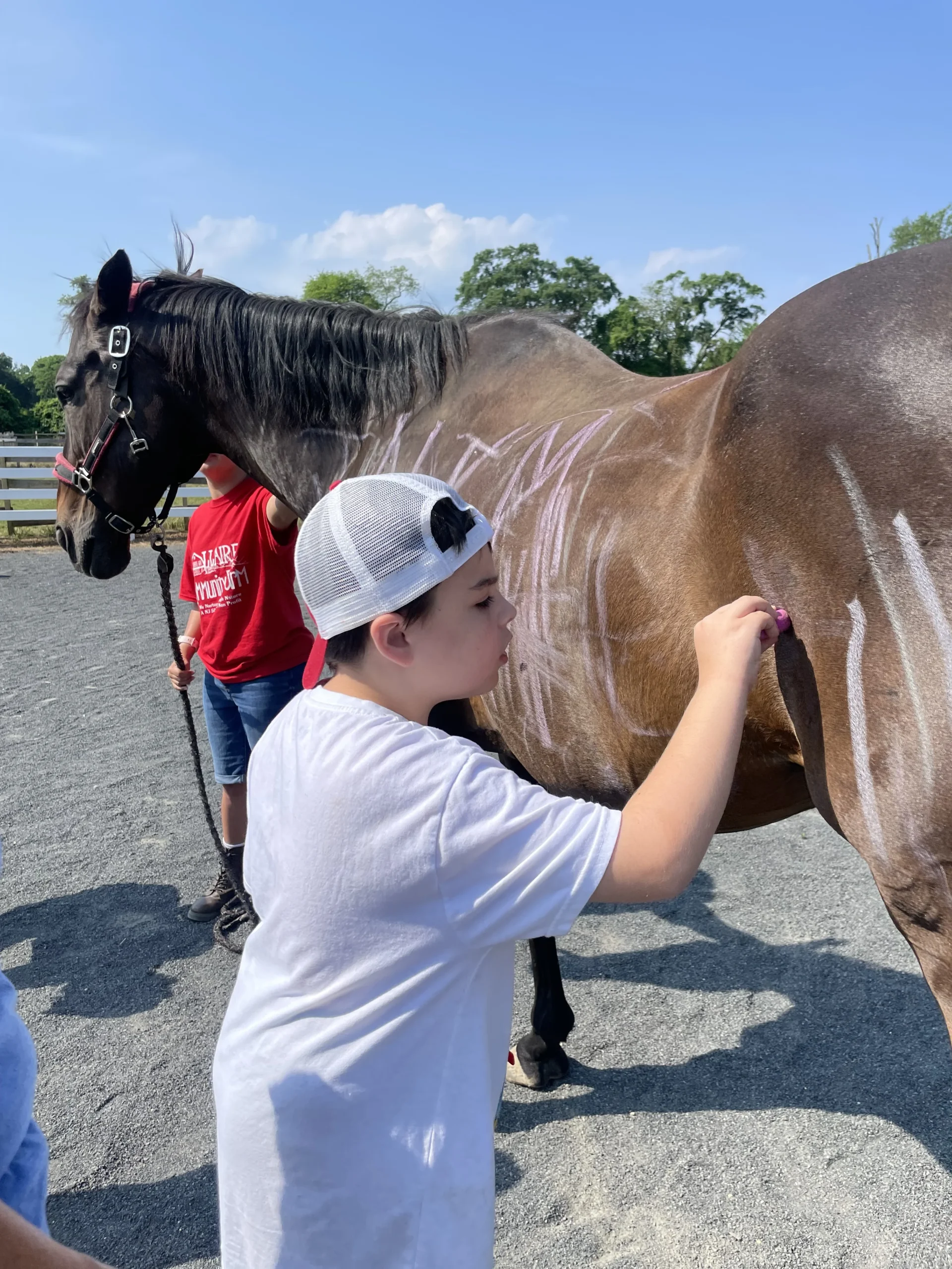 Assisted Lessons